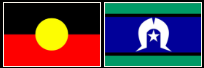 indigenous flags